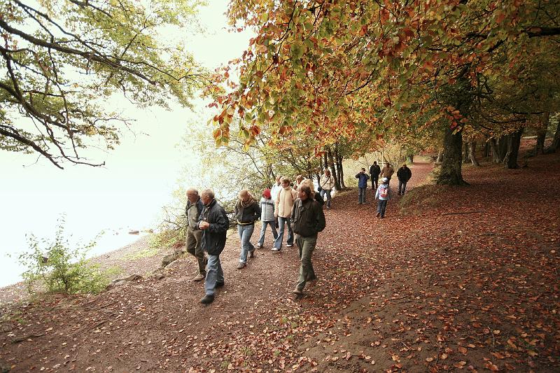 e - Lac du Bouchet (2).jpg - Lac du Bouchet - les feuilles d’automne se ramassent à la pelle